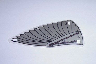 Plastic Triangle 6 x 12 Wing with Gray Feathers Pattern, x66px2 Trans-Clear U