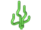 Plant Sea Grass / Seaweed, 30093  