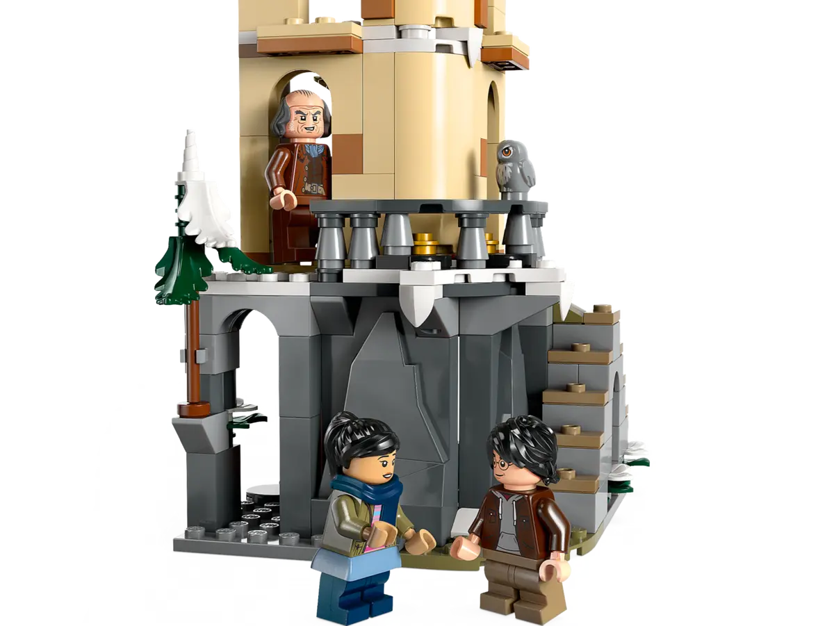 Конструктор LEGO Harry Potter 76430 Совятник замка Хогвартс в магазине  Shop-device