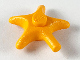 Starfish / Sea Star, x112