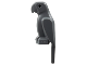 Bird, Parrot with Large Beak, 27063