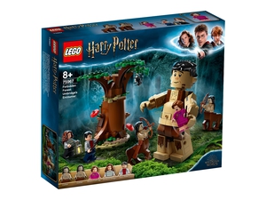 Конструктор LEGO Harry Potter 75967 Запретный лес: Грохх и Долорес Амбридж