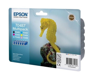 Набор картриджей Epson C13T04874010 T0487 Multipack