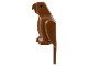 Bird, Parrot with Small Beak, 2546