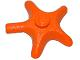 Starfish / Sea Star, x112 Orange U