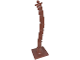 Plant, Tree Palm Base 4 x 4 with Trunk, 30338  