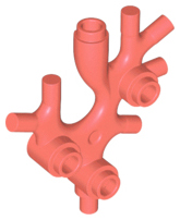 Plant Thallus / Seaweed / Coral, 49577 Coral U