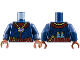 Torso Cloak with Black Spirals, Dark Red Collar and Sash, Gold Jewel Necklace, Key and Flasks on Back Pattern / Dark Blue Arms / Reddish Brown Hands, 973pb5817c01  