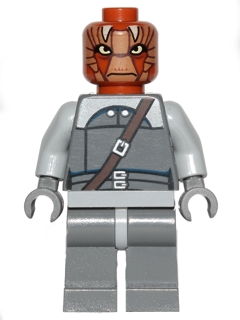 Минифигурка Lego Nikto Guard sw0496