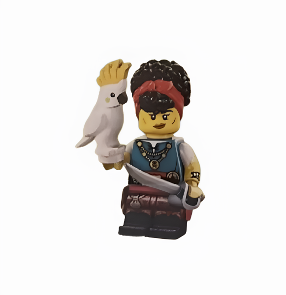 Минифигурка LEGO Collectible Minifigures 71048 Series 27 Квартирмейстер пиратов col27-2