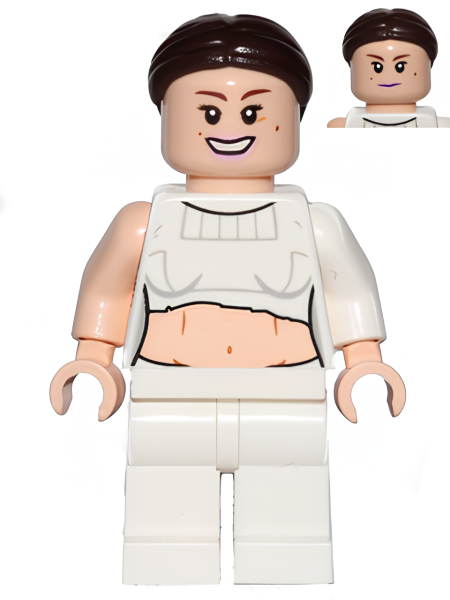 Минифигурка Lego Padme Amidala - Geonosis Arena sw0490 U