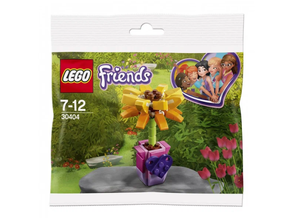 Конструктор LEGO Friends 30404 Цветок дружбы