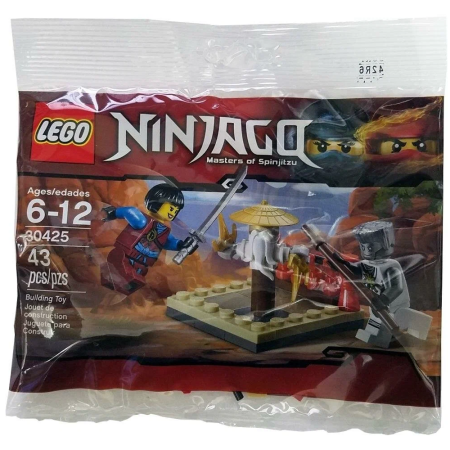 Конструктор LEGO Ninjago 30425 Площадка для подготовки мастеров