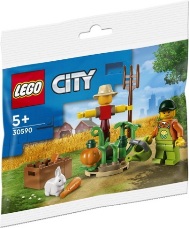Конструктор LEGO City 30590 Пугало
