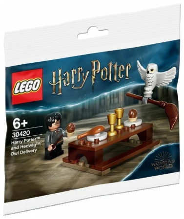 Конструктор LEGO Harry Potter 30420 Harry Potter and Hedwig
