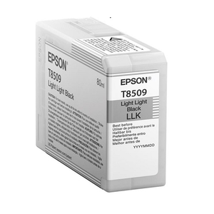 Epson Картридж LLBlack Светло-Серый T850900 UltraChrome HD ink C13T850900